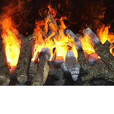 Электрические камины Dimplex с эффектом живого пламени